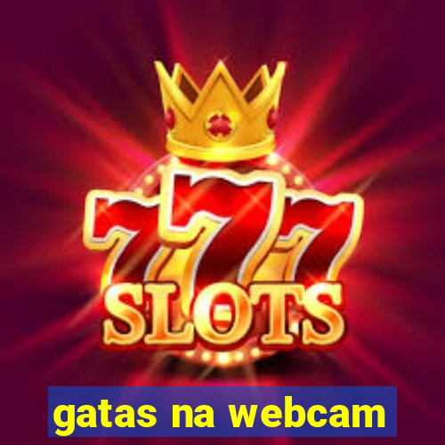 gatas na webcam